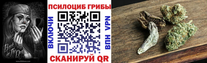 darknet состав  Кондопога  Галлюциногенные грибы прущие грибы 